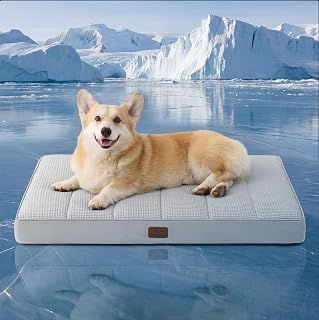 Bedsure Cooling Bed Orthopedic Foam